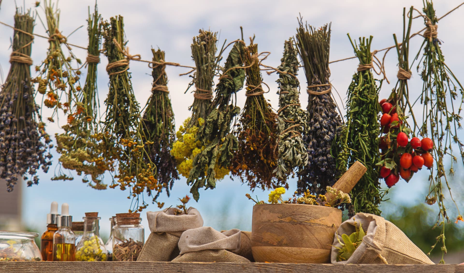 Mediterranean Herbs – Your Natural Ally for Healthy and Radiant Skin